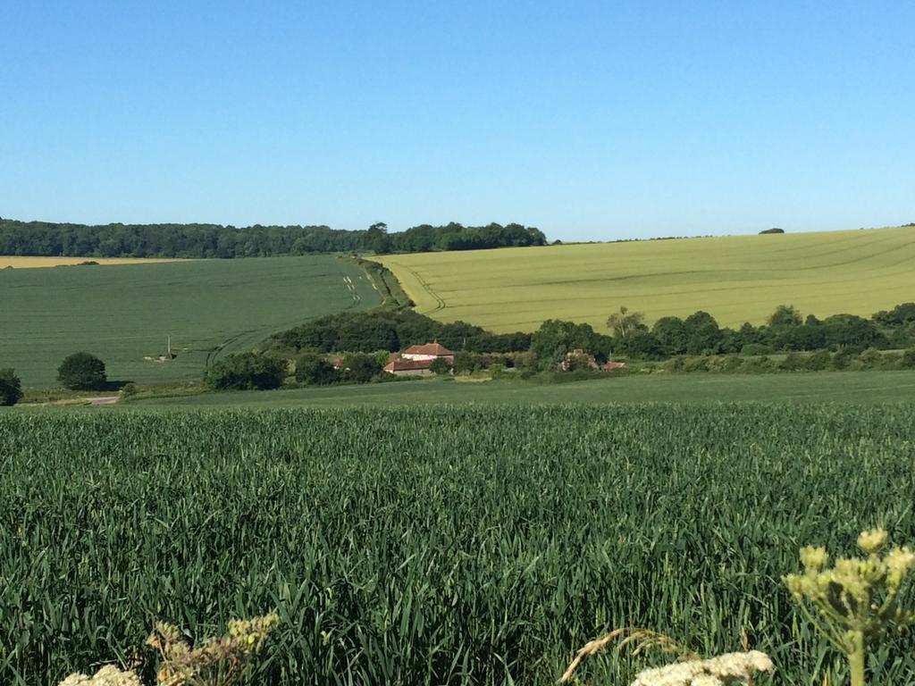 Shepherds Barn West Dean Exterior photo
